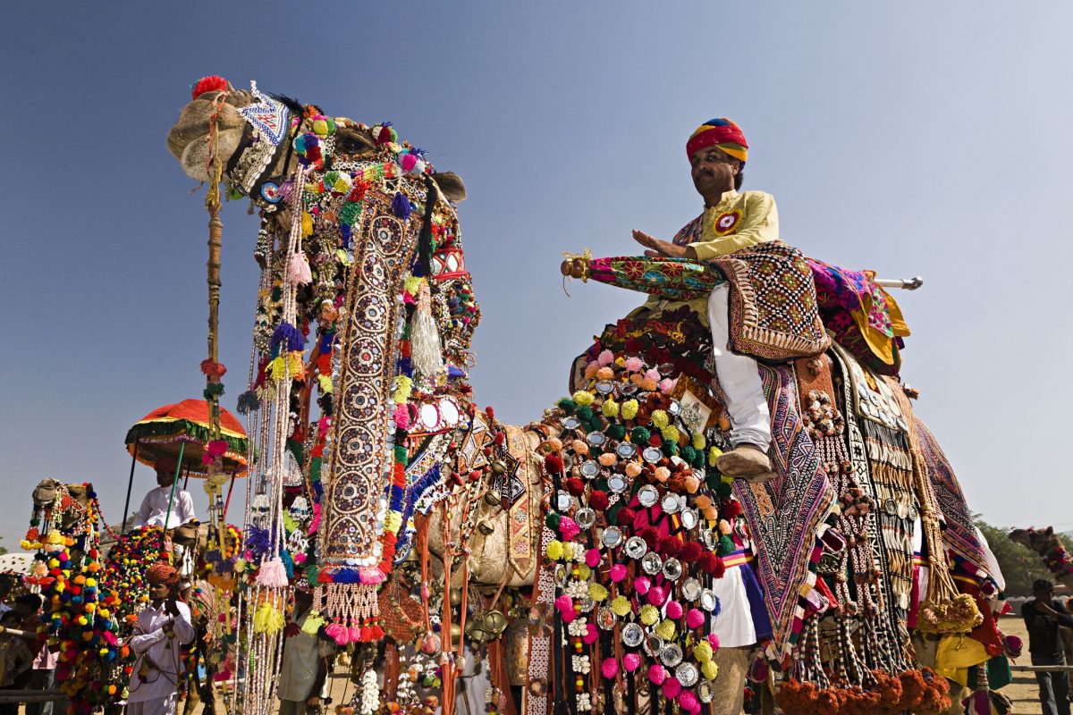 17-facts-about-pushkar-camel-fair