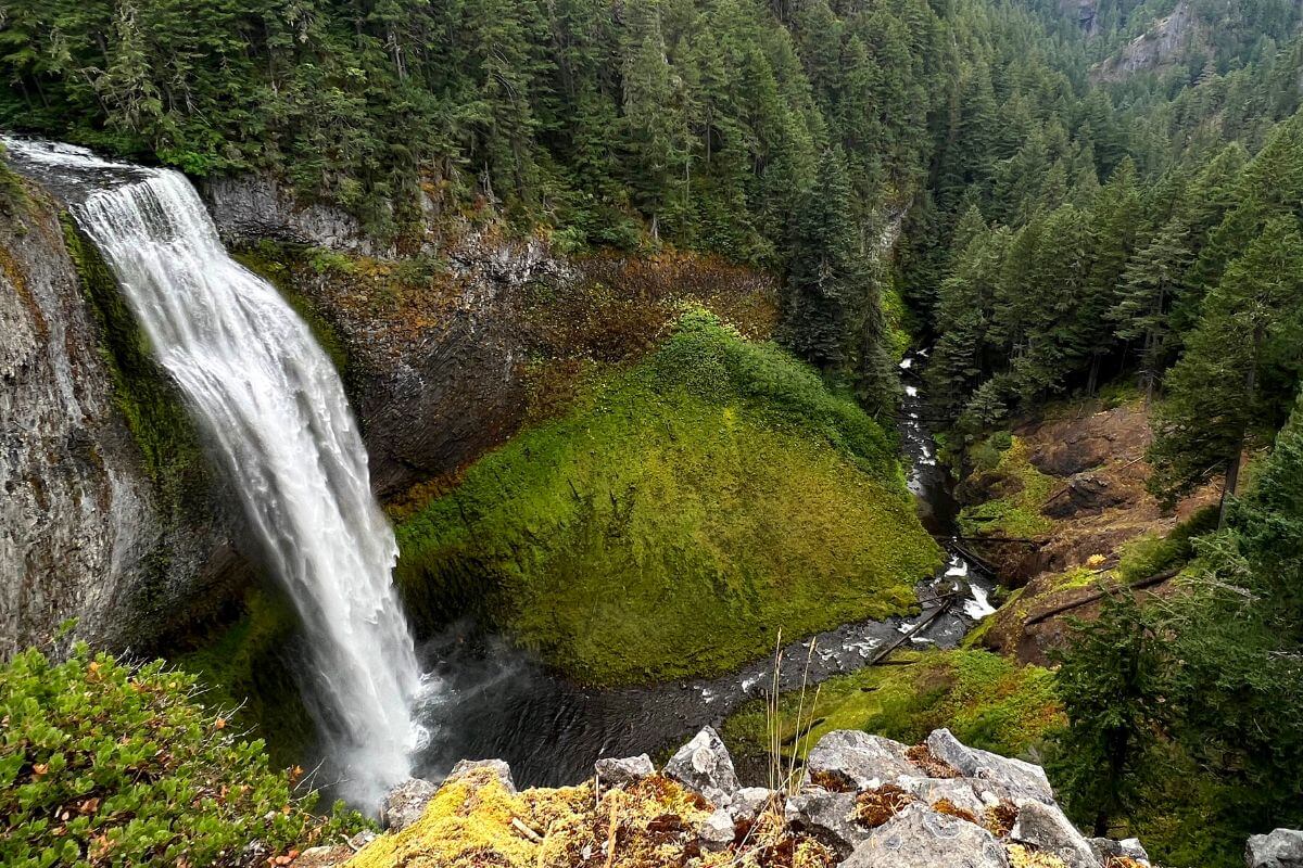 17-fascinating-facts-about-salt-creek-falls