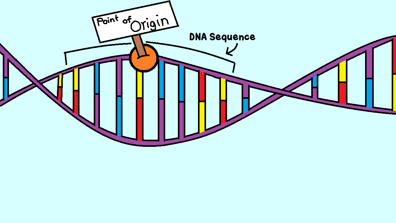 17-intriguing-facts-about-dna-replication-origins