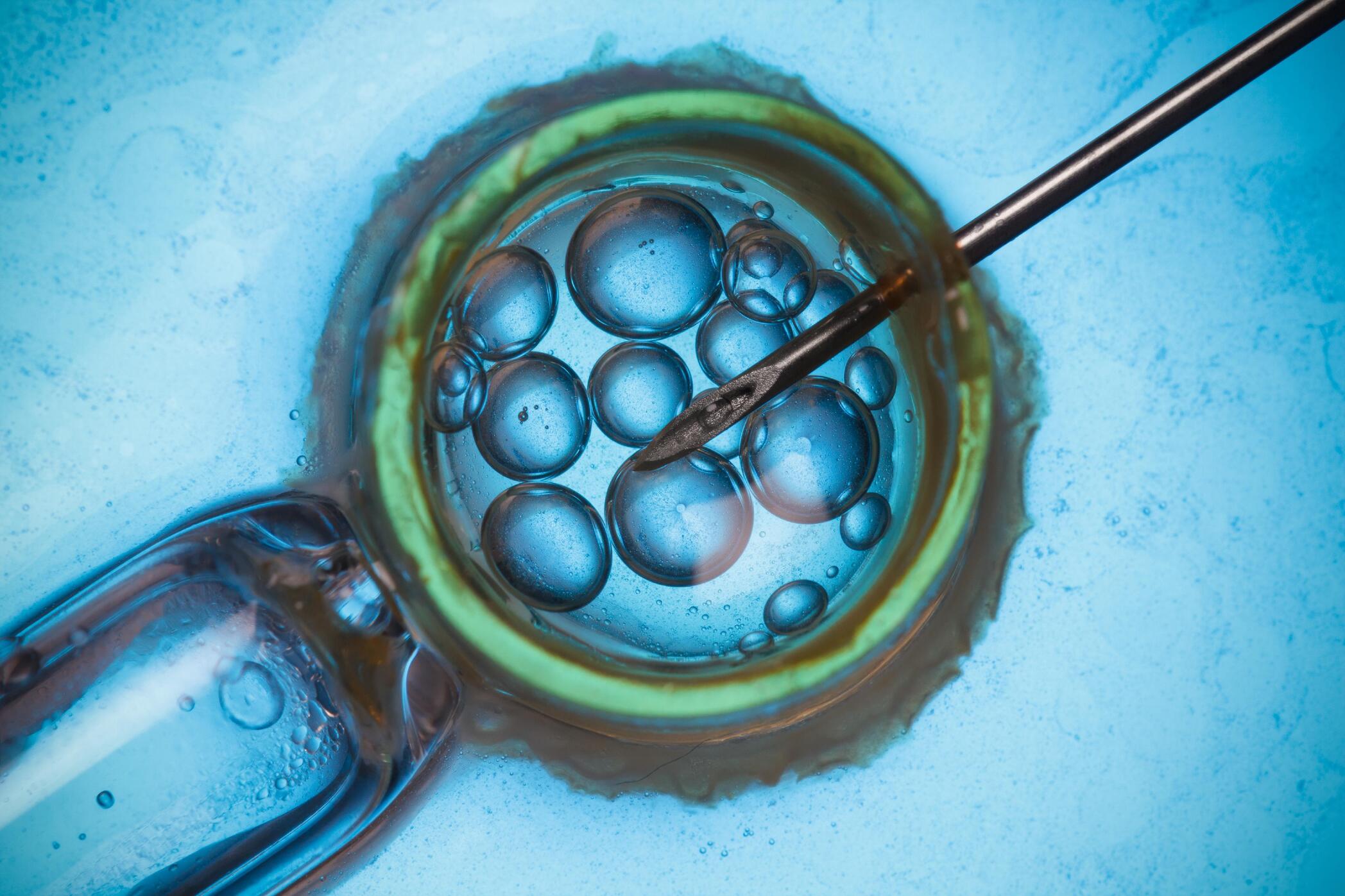 17-surprising-facts-about-reproductive-technologies