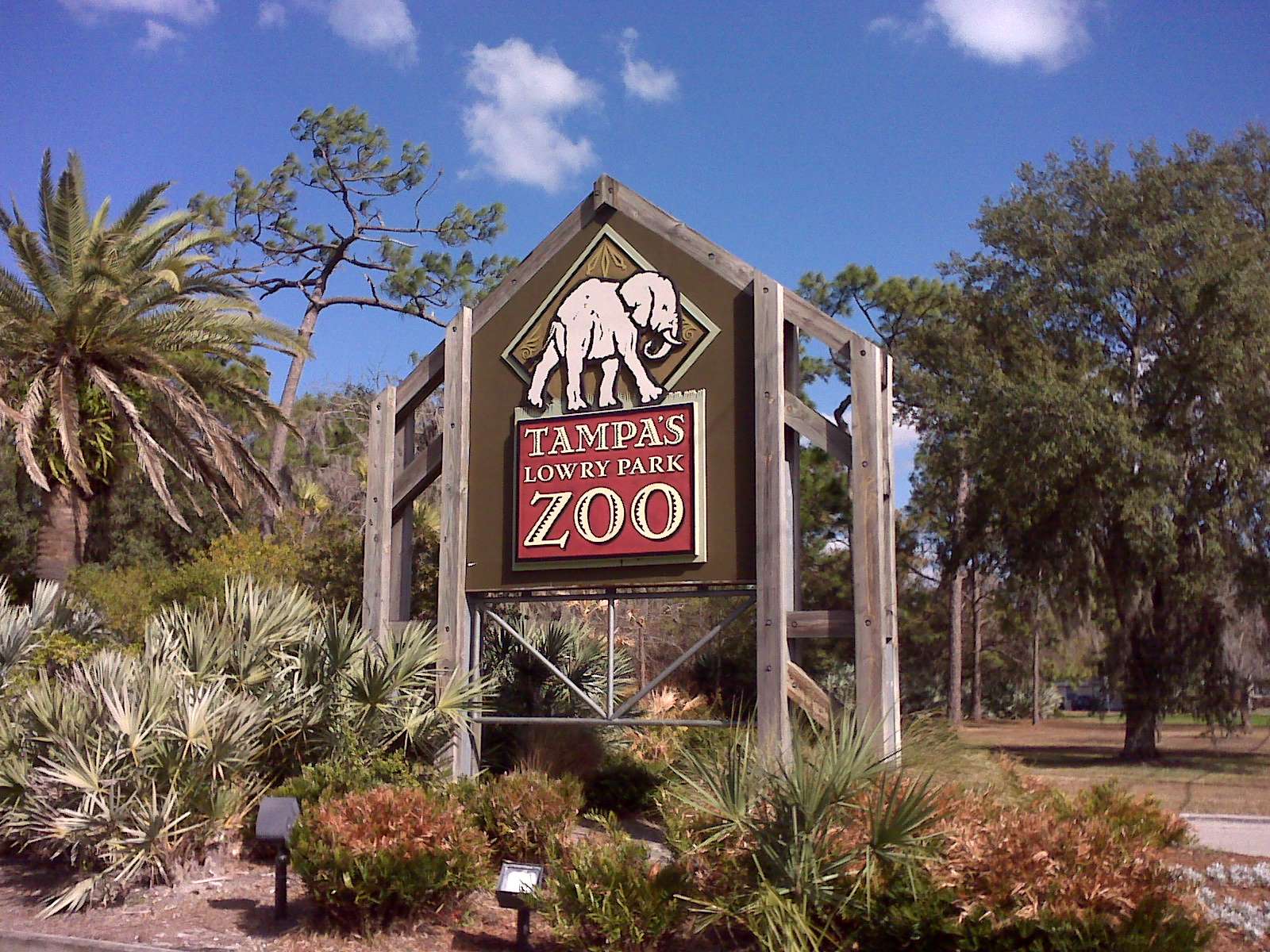 17 Surprising Facts About Tampa's Lowry Park Zoo - Facts.net