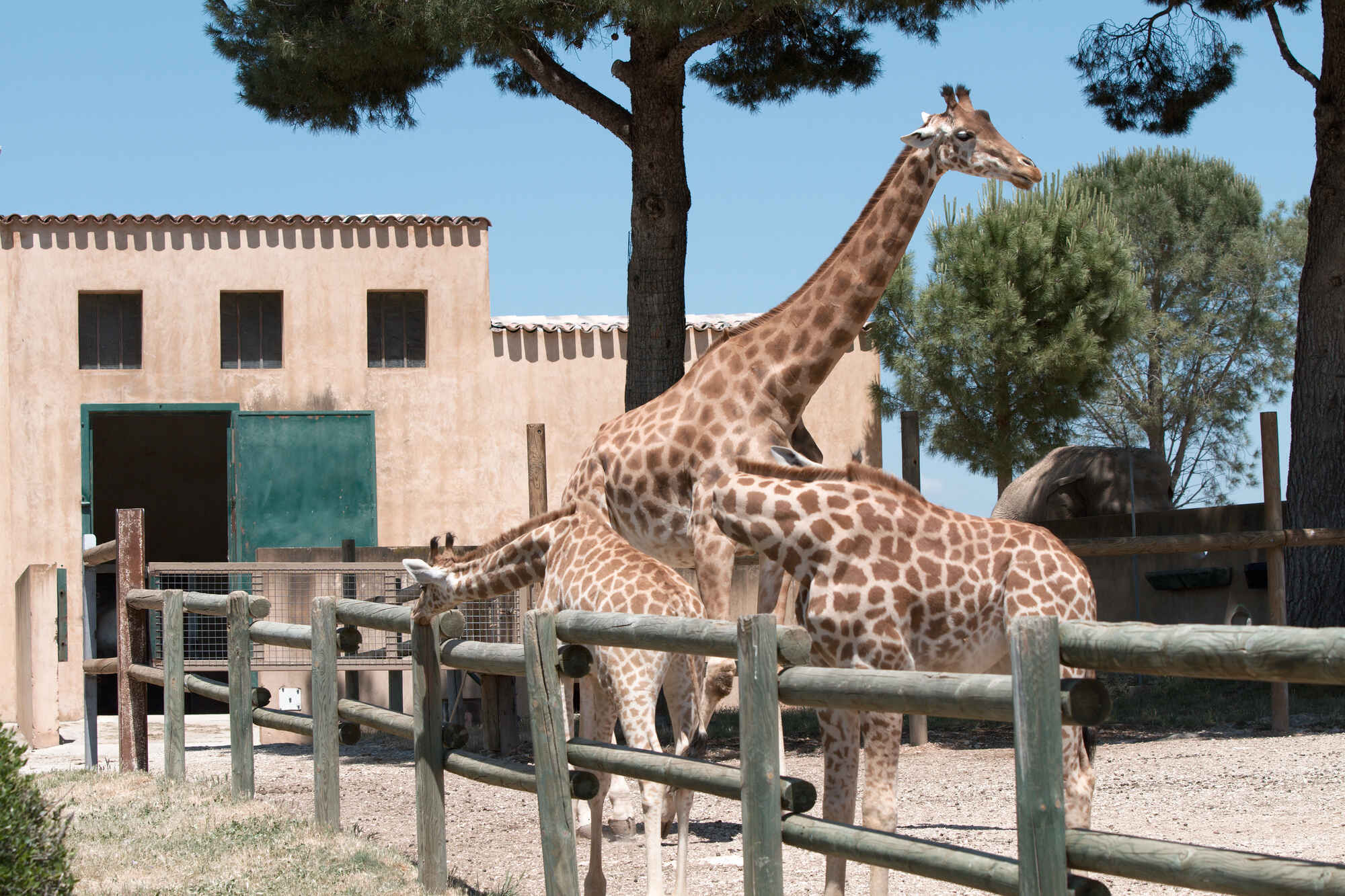 18-astounding-facts-about-zoo-de-la-barben
