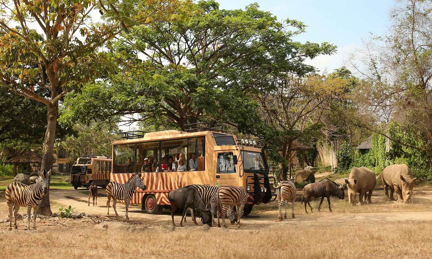 18-captivating-facts-about-bali-safari-and-marine-park