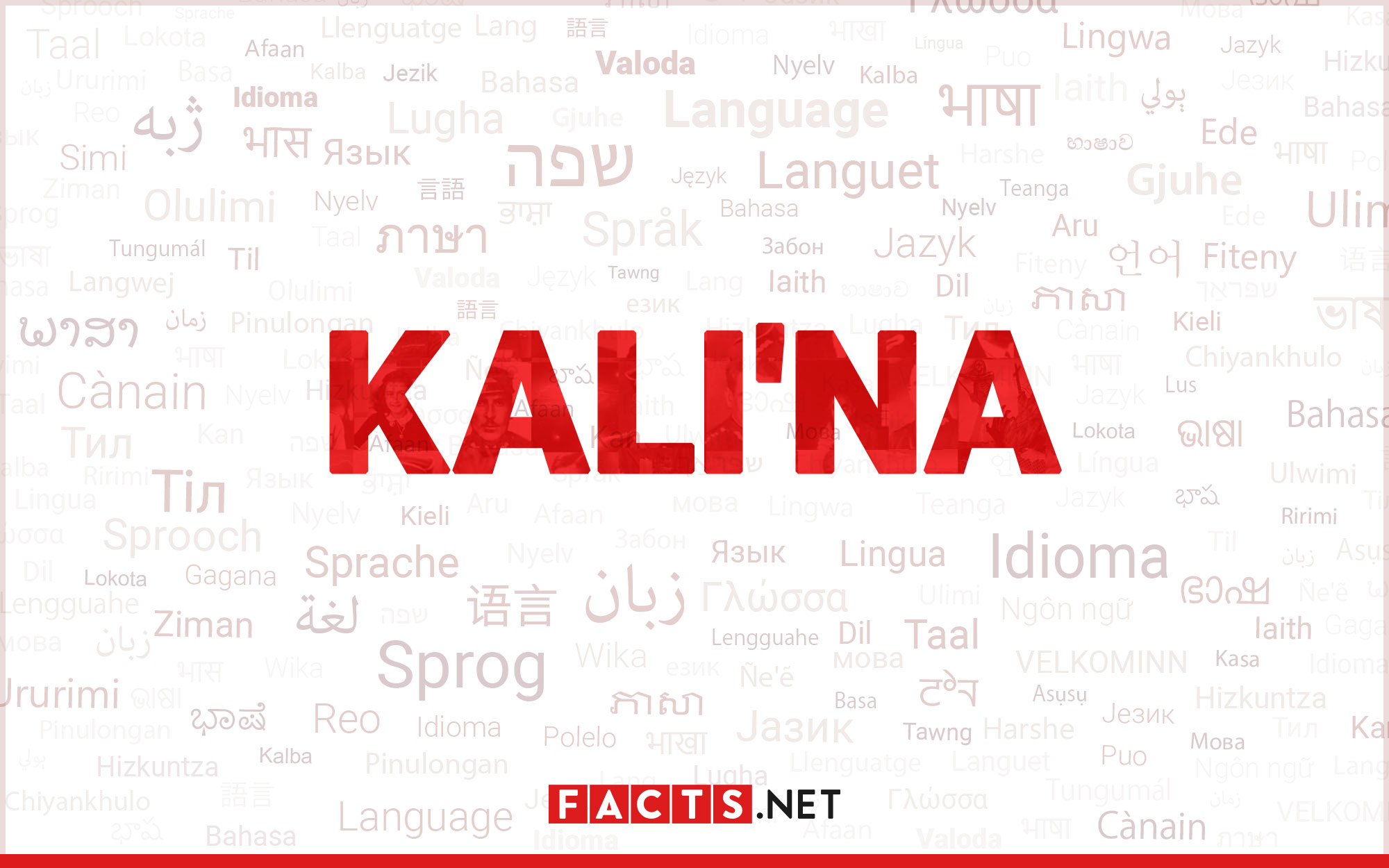 18-captivating-facts-about-kalina