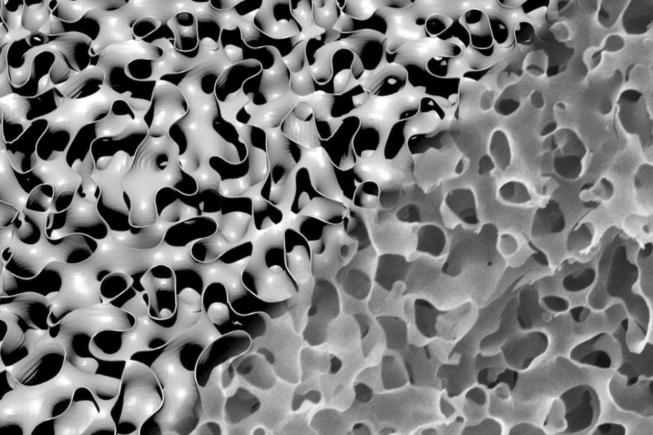 18-captivating-facts-about-microstructure