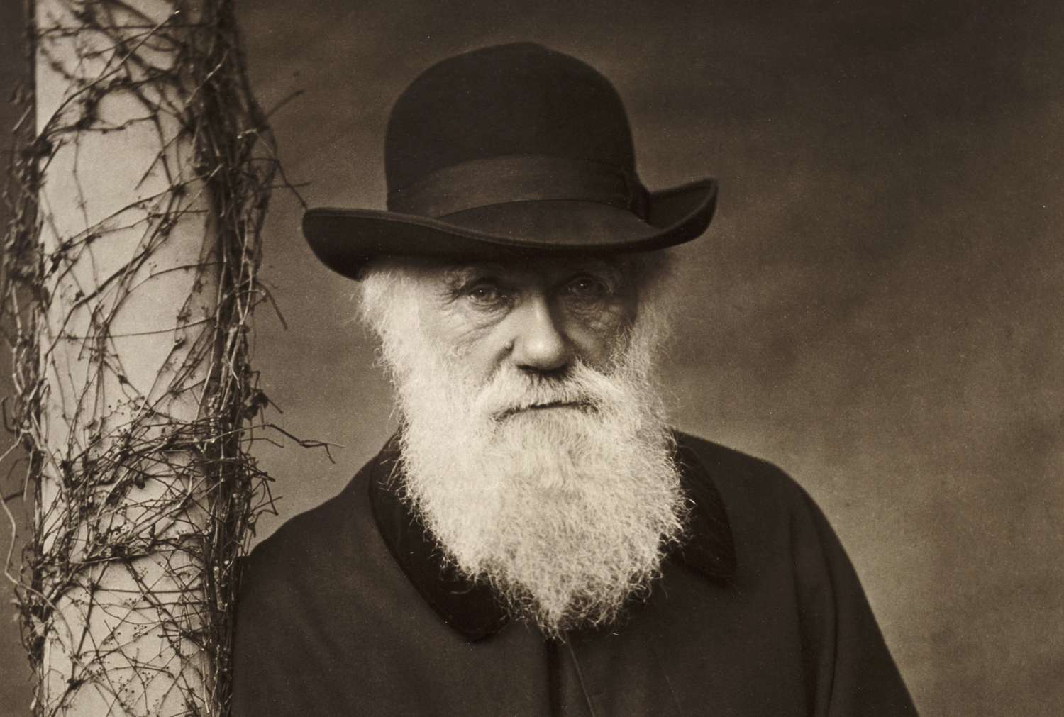 18-enigmatic-facts-about-charles-darwin