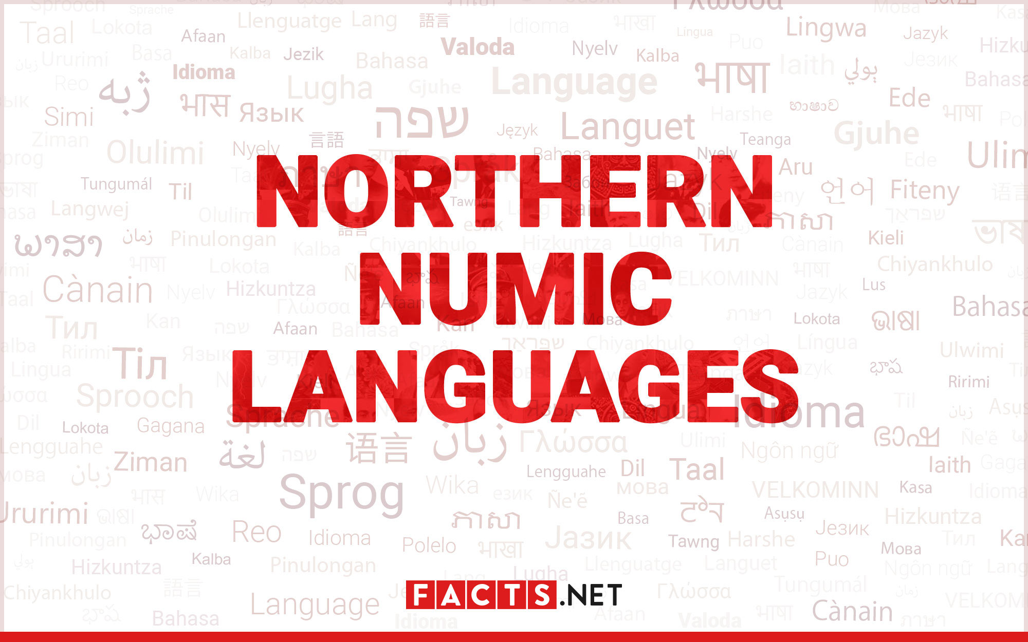 Language – facts and figures