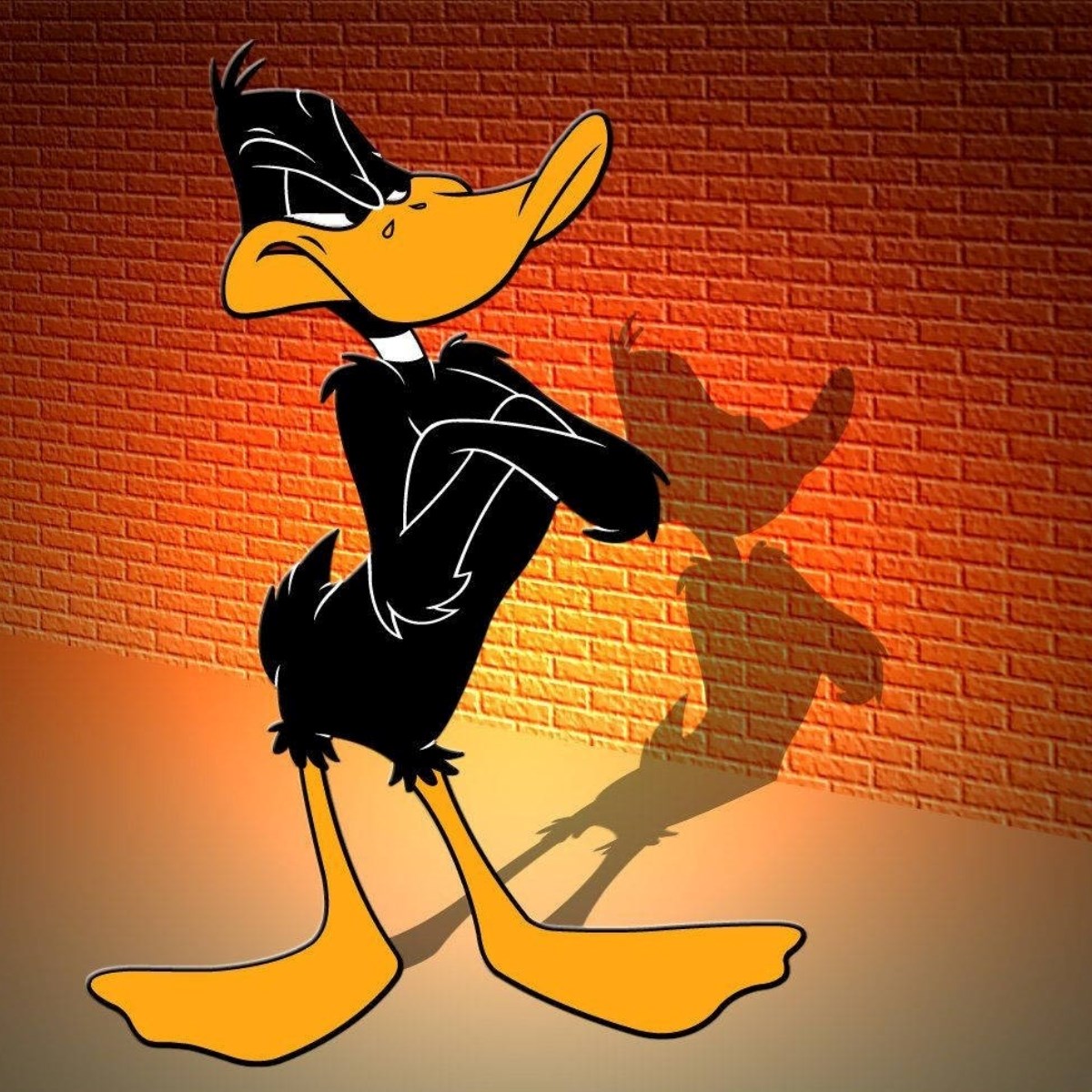 18-facts-about-daffy-duck-looney-tunes