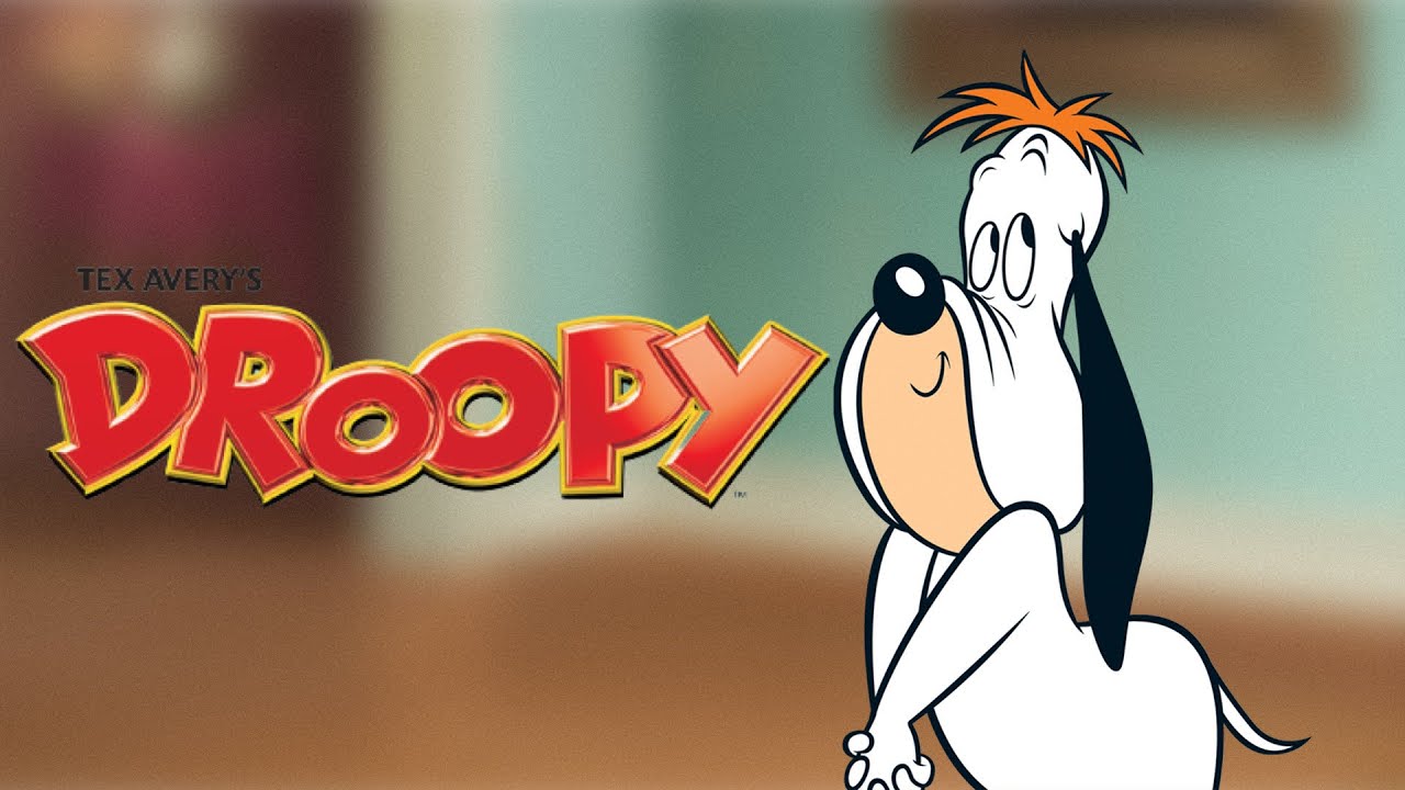 18-facts-about-droopy-droopy