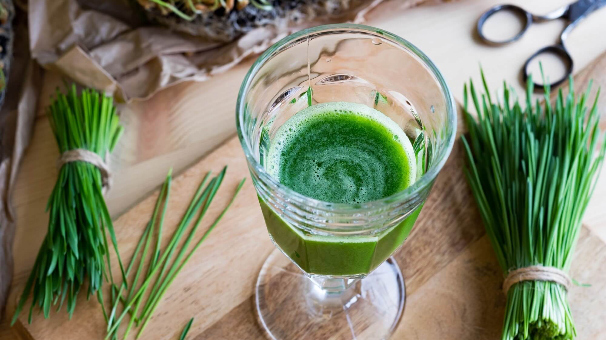 18-facts-about-wheatgrass-juice