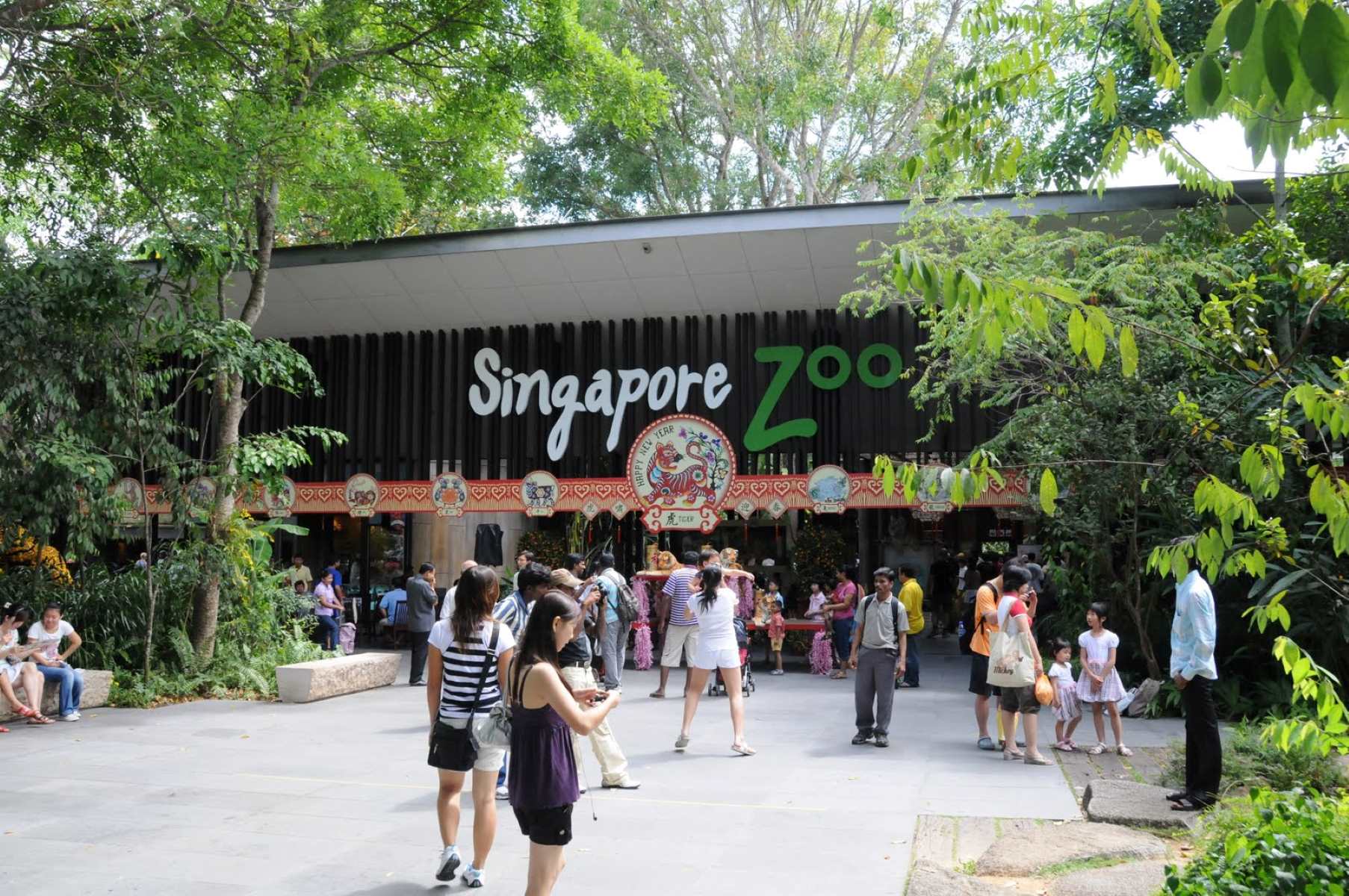 18-fascinating-facts-about-singapore-zoo