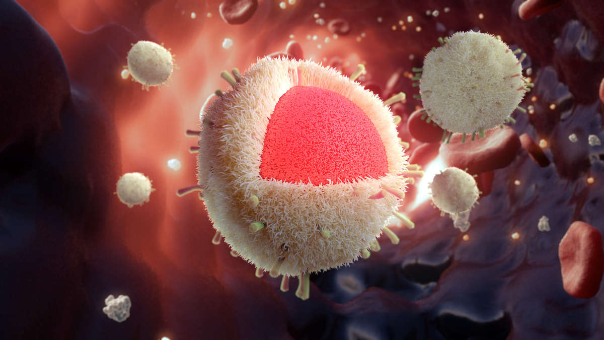 18-fascinating-facts-about-tumor-immunology