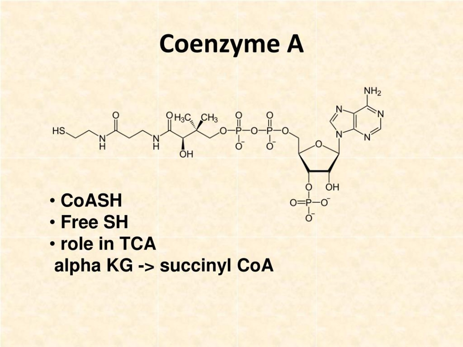 18-intriguing-facts-about-coenzyme-a-coa