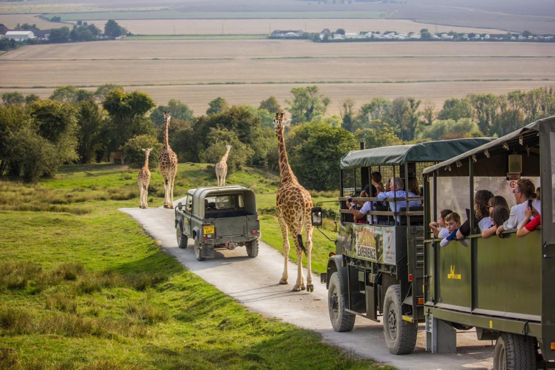 18-intriguing-facts-about-port-lympne-reserve