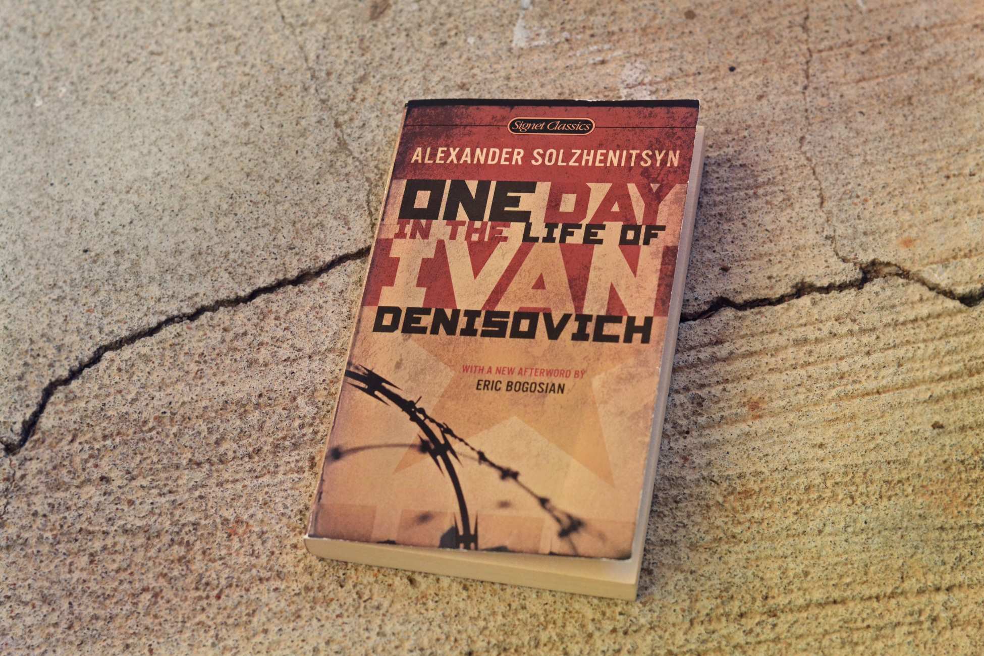 18-mind-blowing-facts-about-one-day-in-the-life-of-ivan-denisovich-aleksandr-solzhenitsyn
