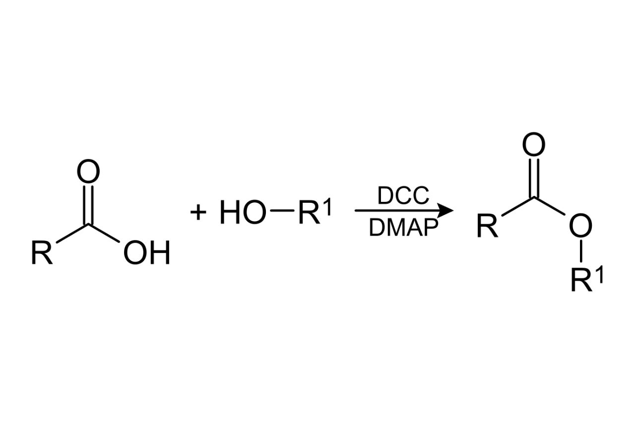 18-surprising-facts-about-esterification