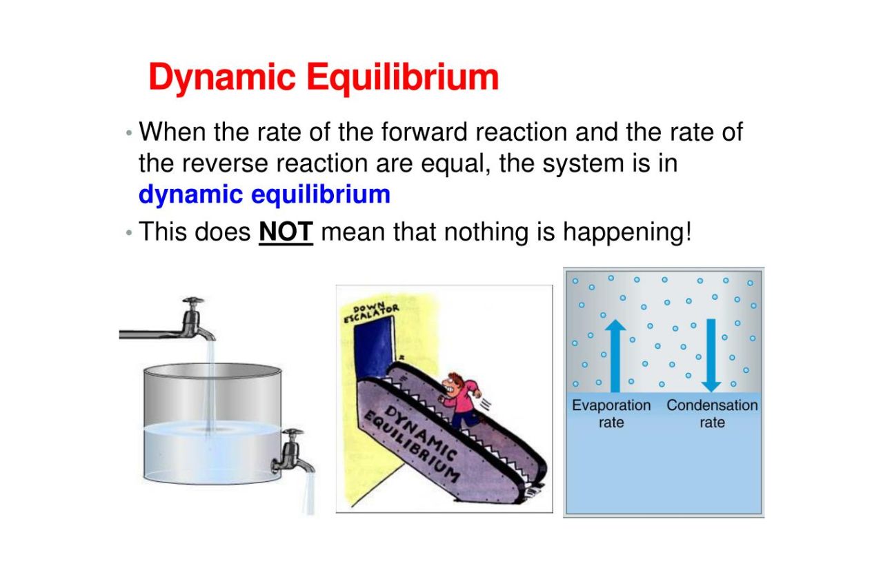 18 Unbelievable Facts About Dynamic Equilibrium Facts