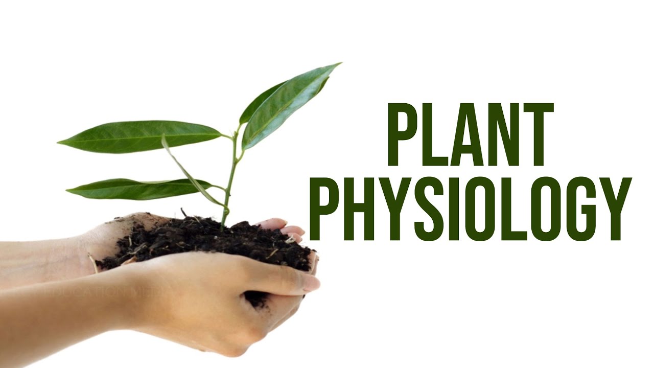19-astonishing-facts-about-plant-physiology