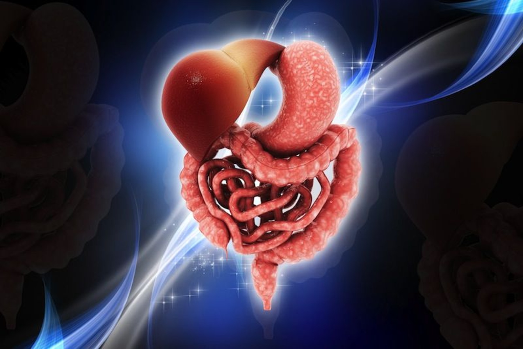 19-astounding-facts-about-digestive-system