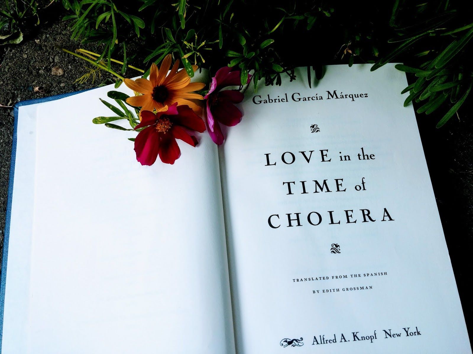19-astounding-facts-about-love-in-the-time-of-cholera-gabriel-garcia-marquez