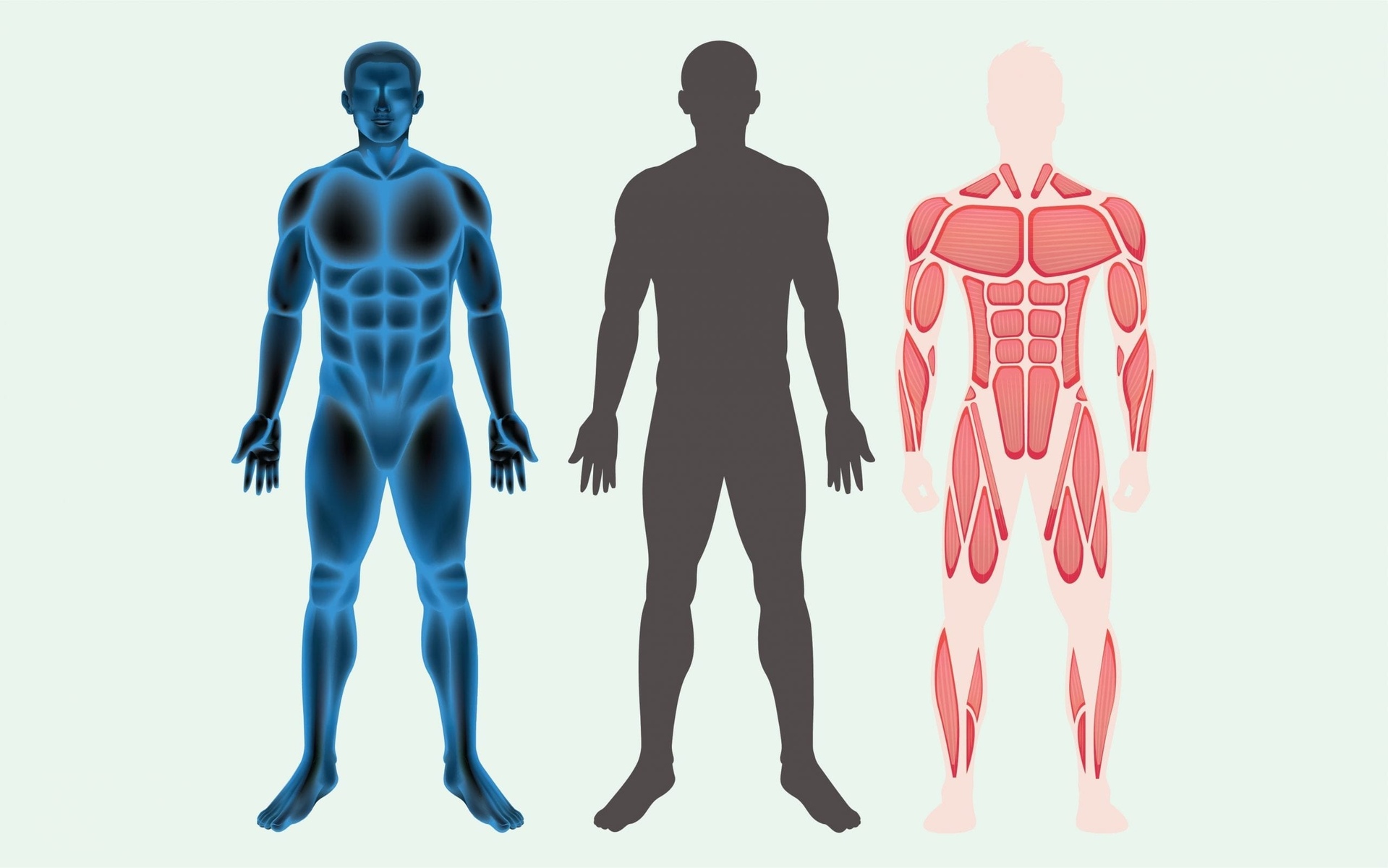 19-astounding-facts-about-physiology