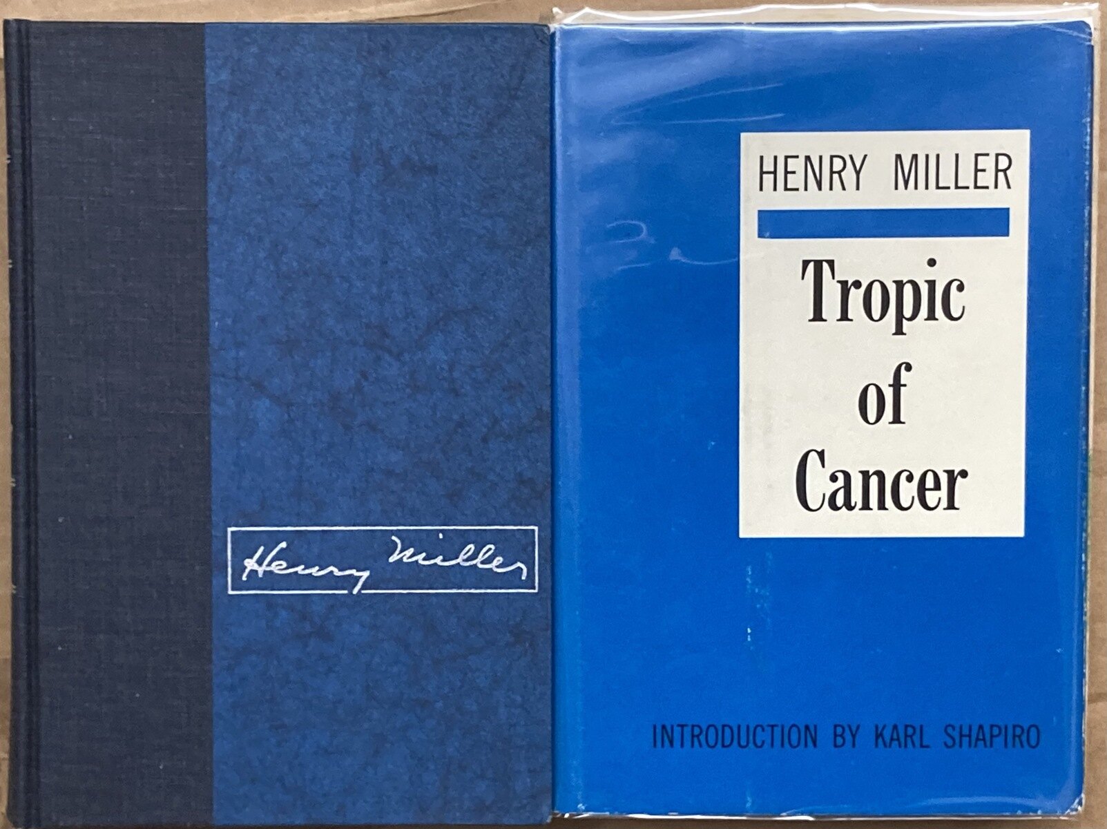 19-astounding-facts-about-tropic-of-cancer-henry-miller