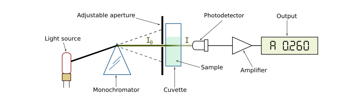 19-captivating-facts-about-spectrophotometry