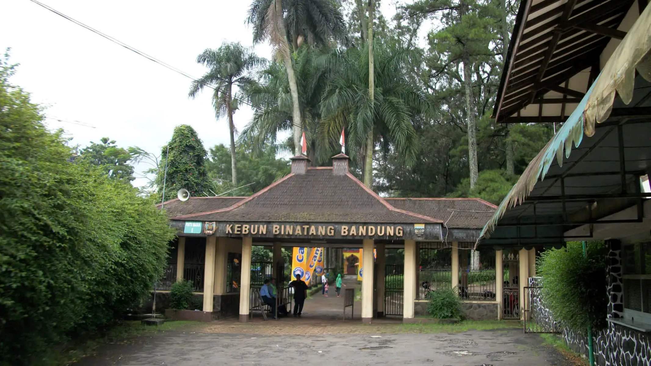 19-enigmatic-facts-about-bandung-zoo