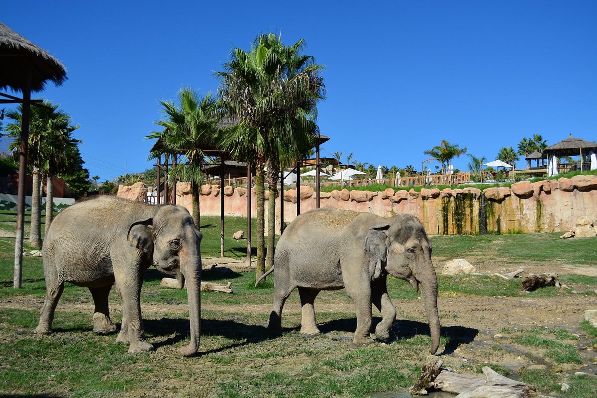 19-enigmatic-facts-about-terra-natura-benidorm