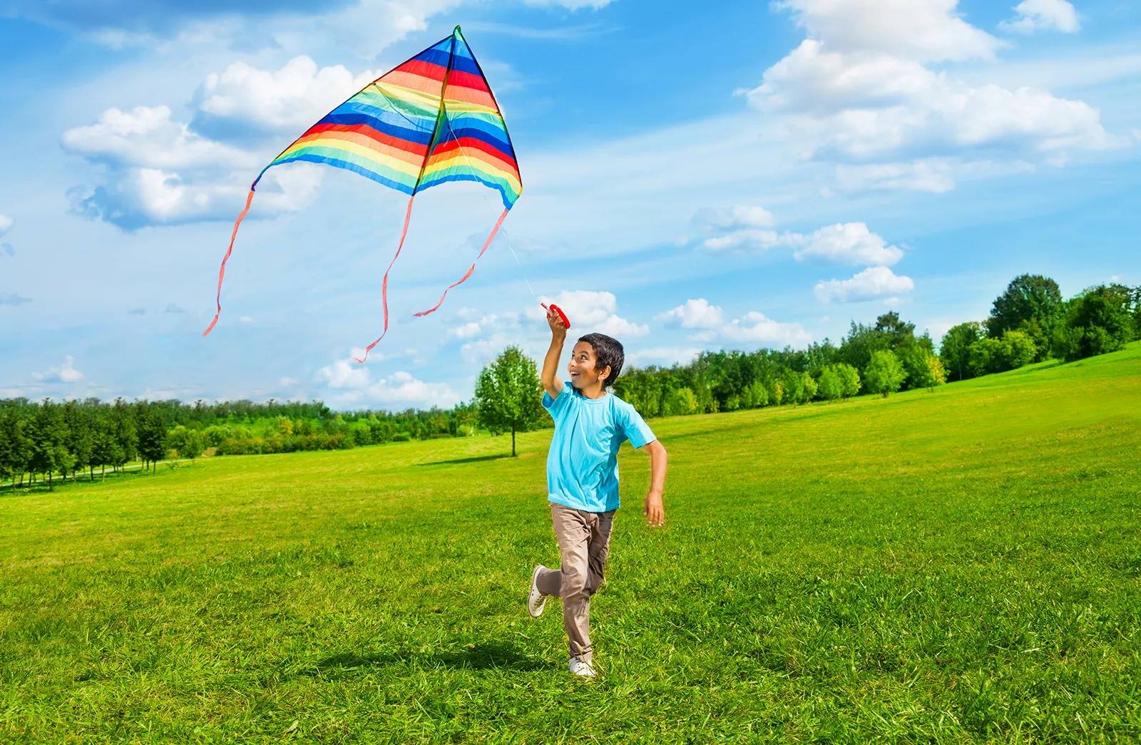 19 Mind-blowing Facts About Kite Flying 