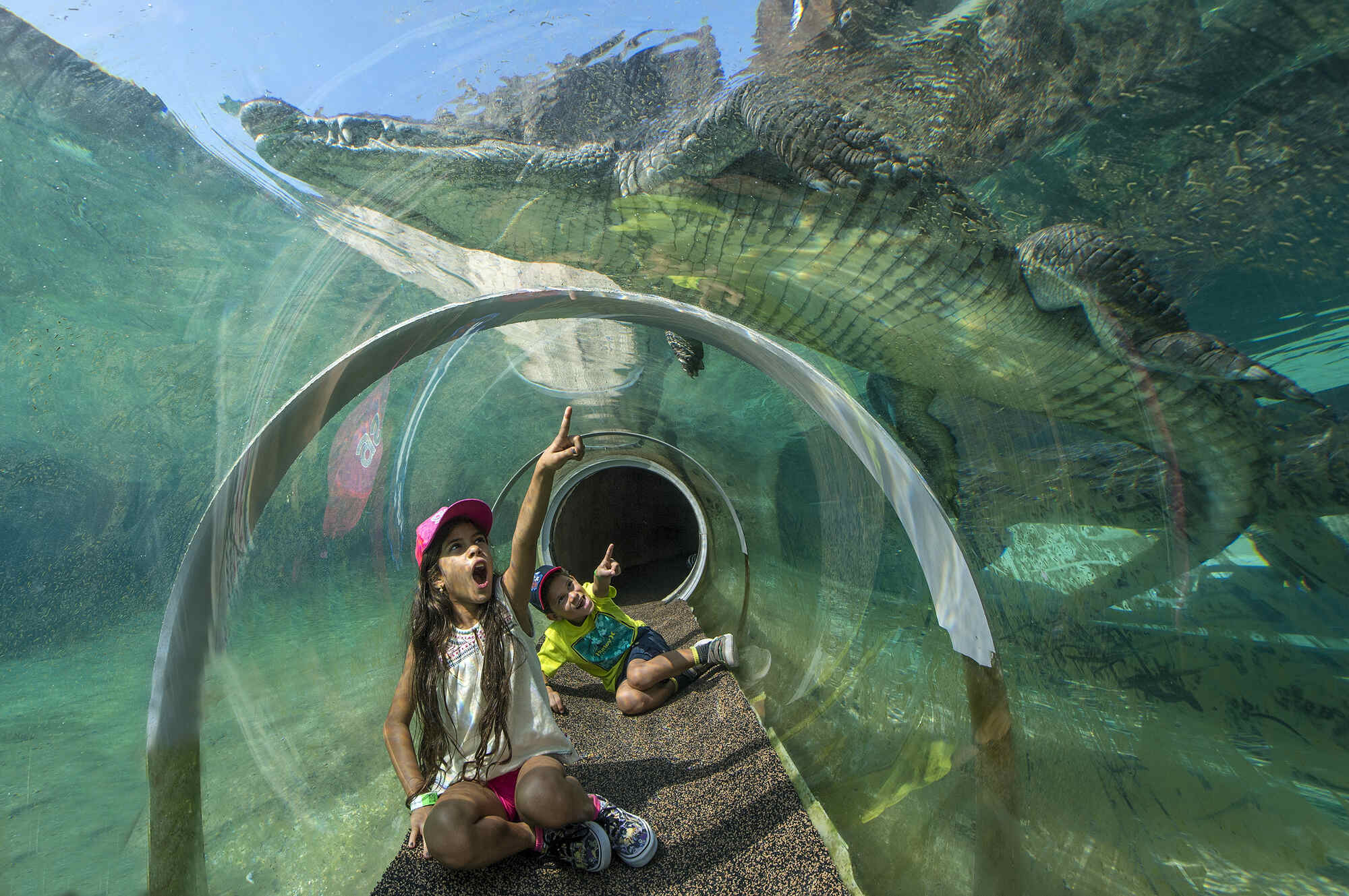 19-mind-blowing-facts-about-miami-zoo