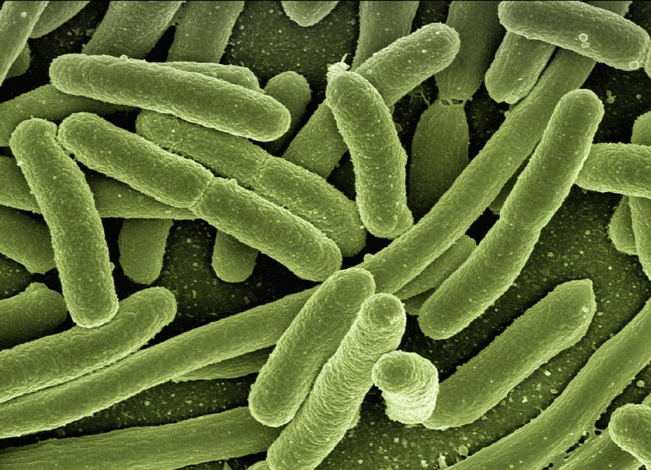 19-surprising-facts-about-bacterial-growth-and-reproduction