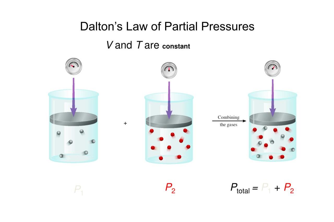 19-surprising-facts-about-daltons-law-of-partial-pressures