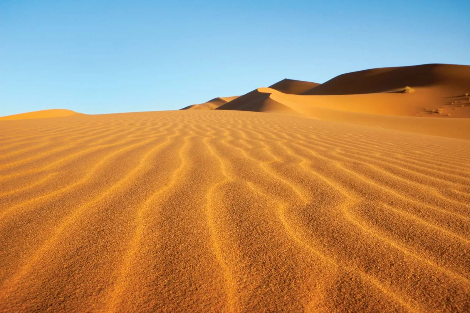 19-unbelievable-facts-about-desert