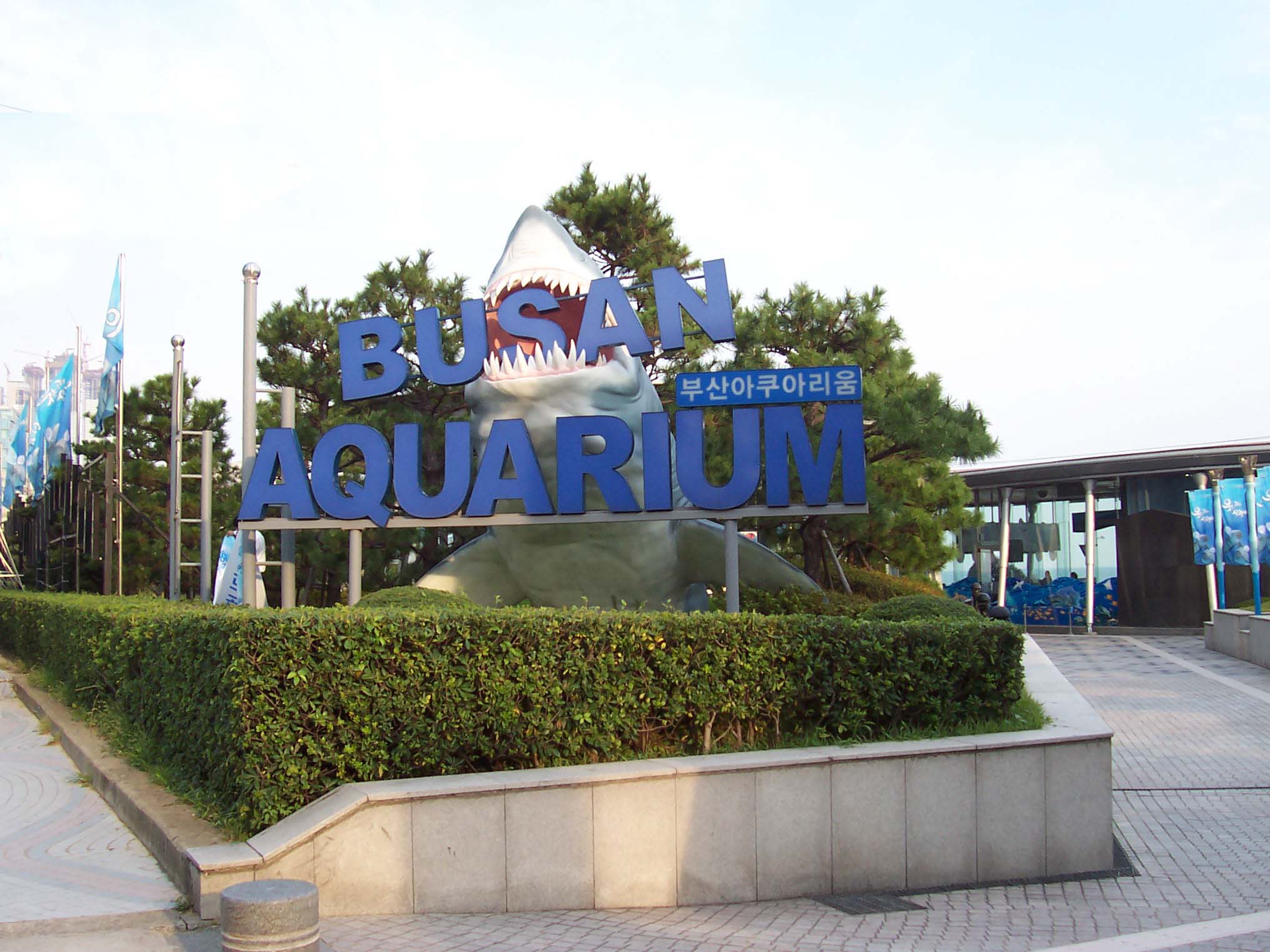 20-astonishing-facts-about-busan-aquarium
