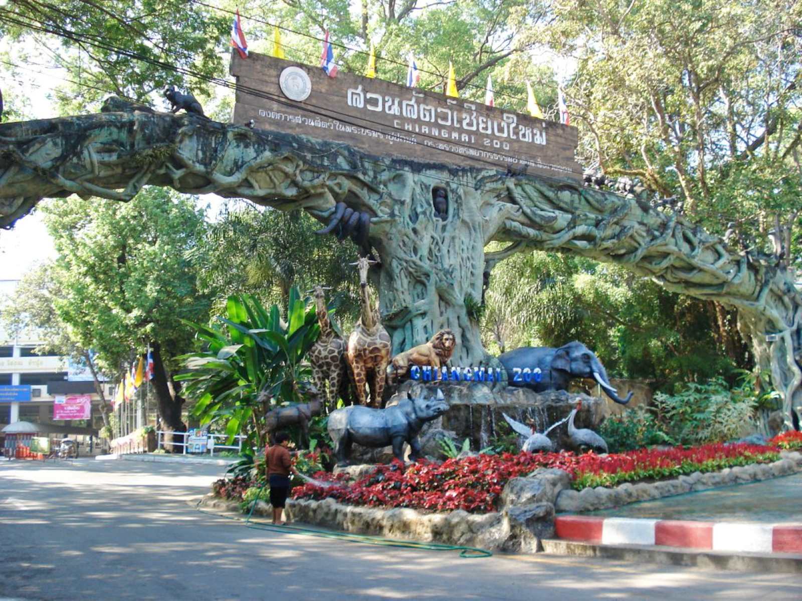 Май зоопарк. Зоопарк Чианг-май (Таиланд). Зоопарк в Чиангмае, Тайланд. Чиангмайский зоопарк аквариум. Зоопарк в Чанг мае.