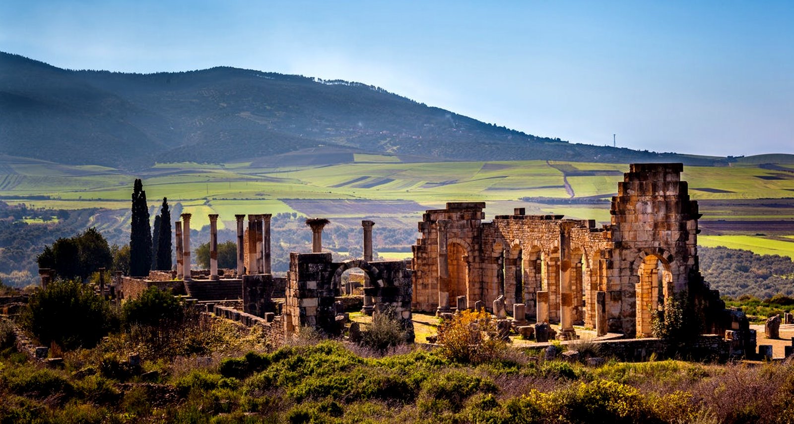 20-astonishing-facts-about-volubilis