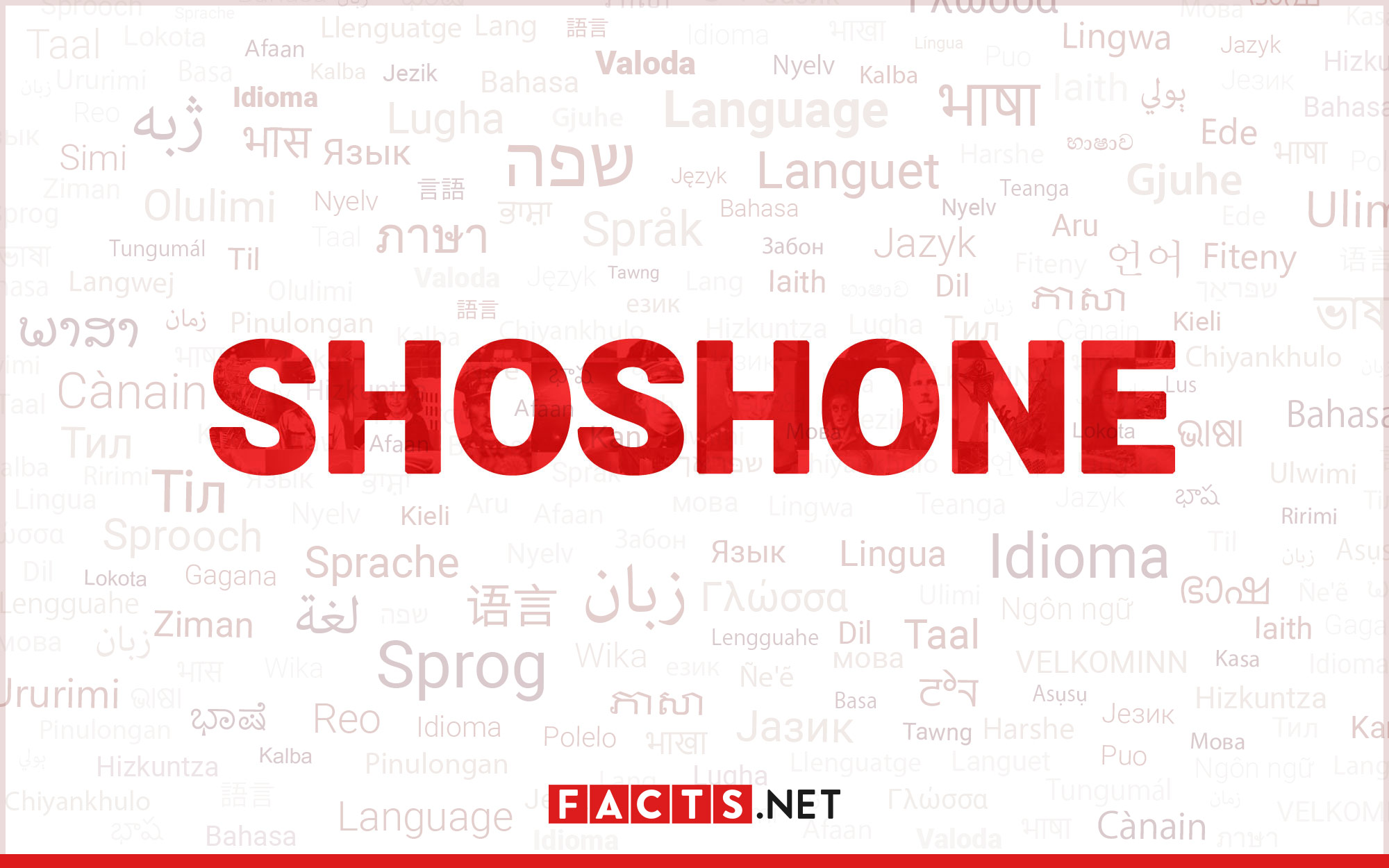 20-astounding-facts-about-shoshoni