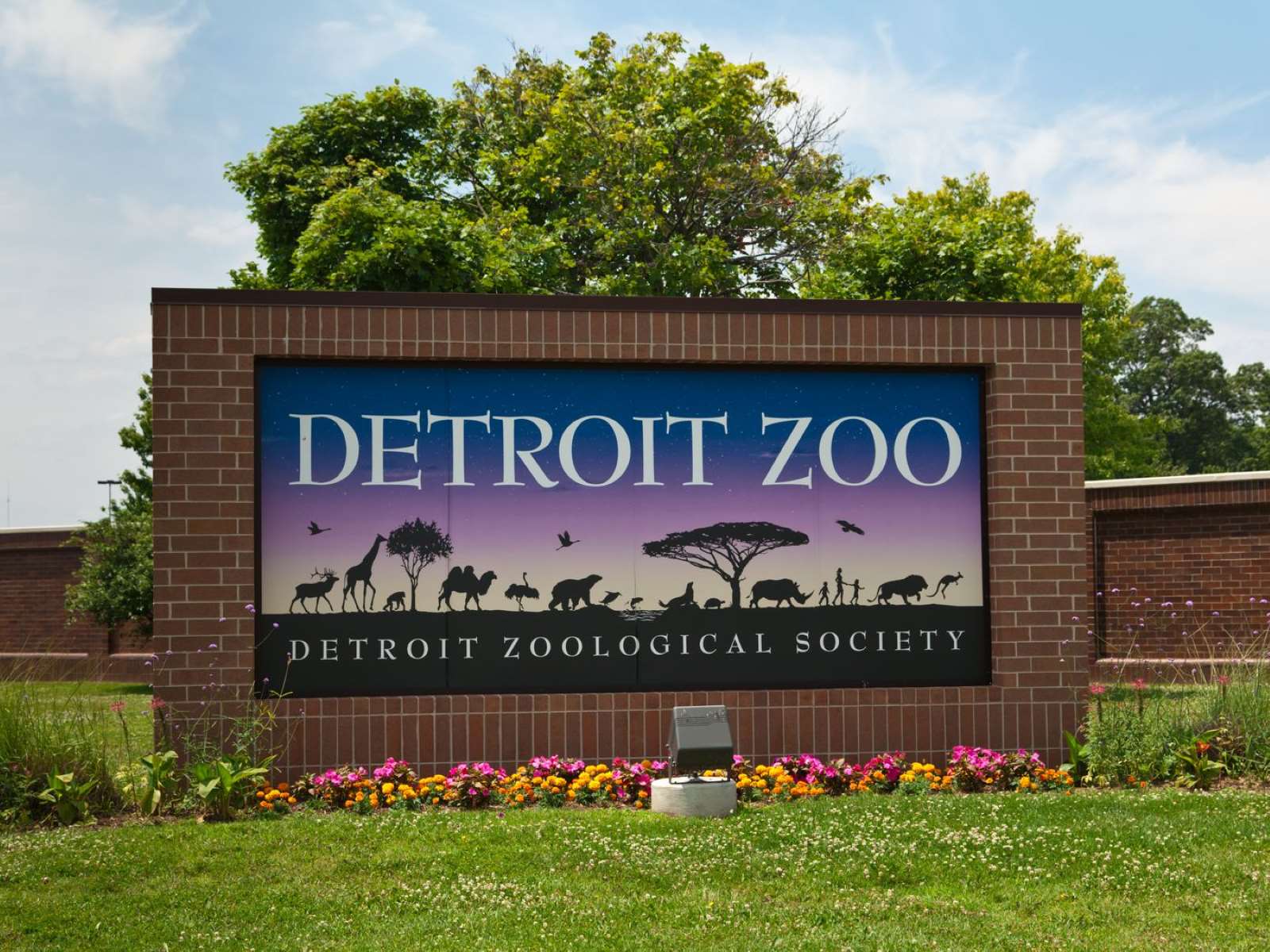 20-captivating-facts-about-detroit-zoo