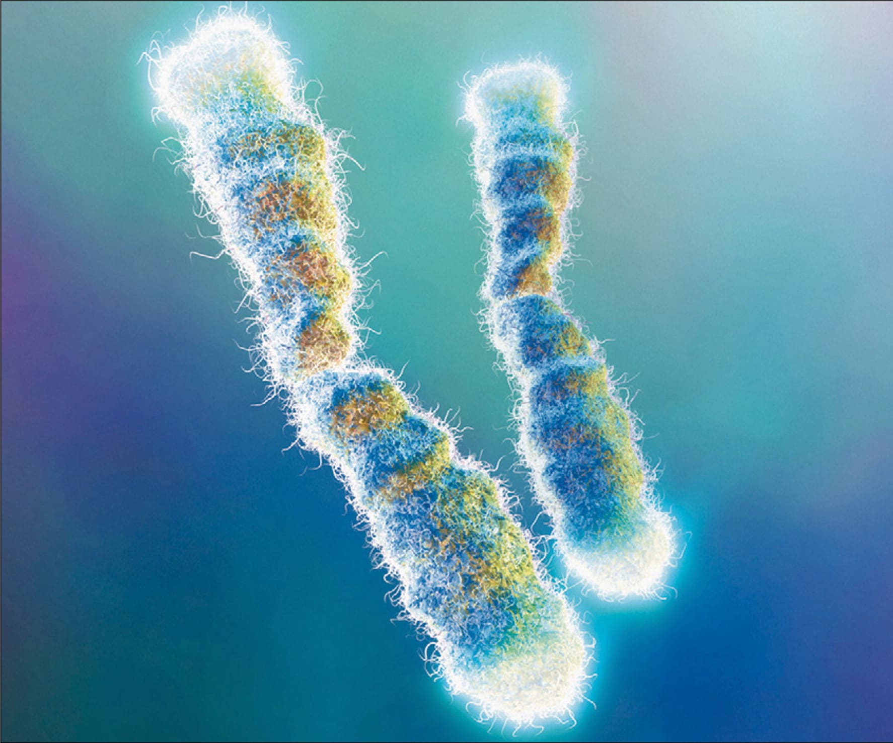 20-captivating-facts-about-telomerase-function