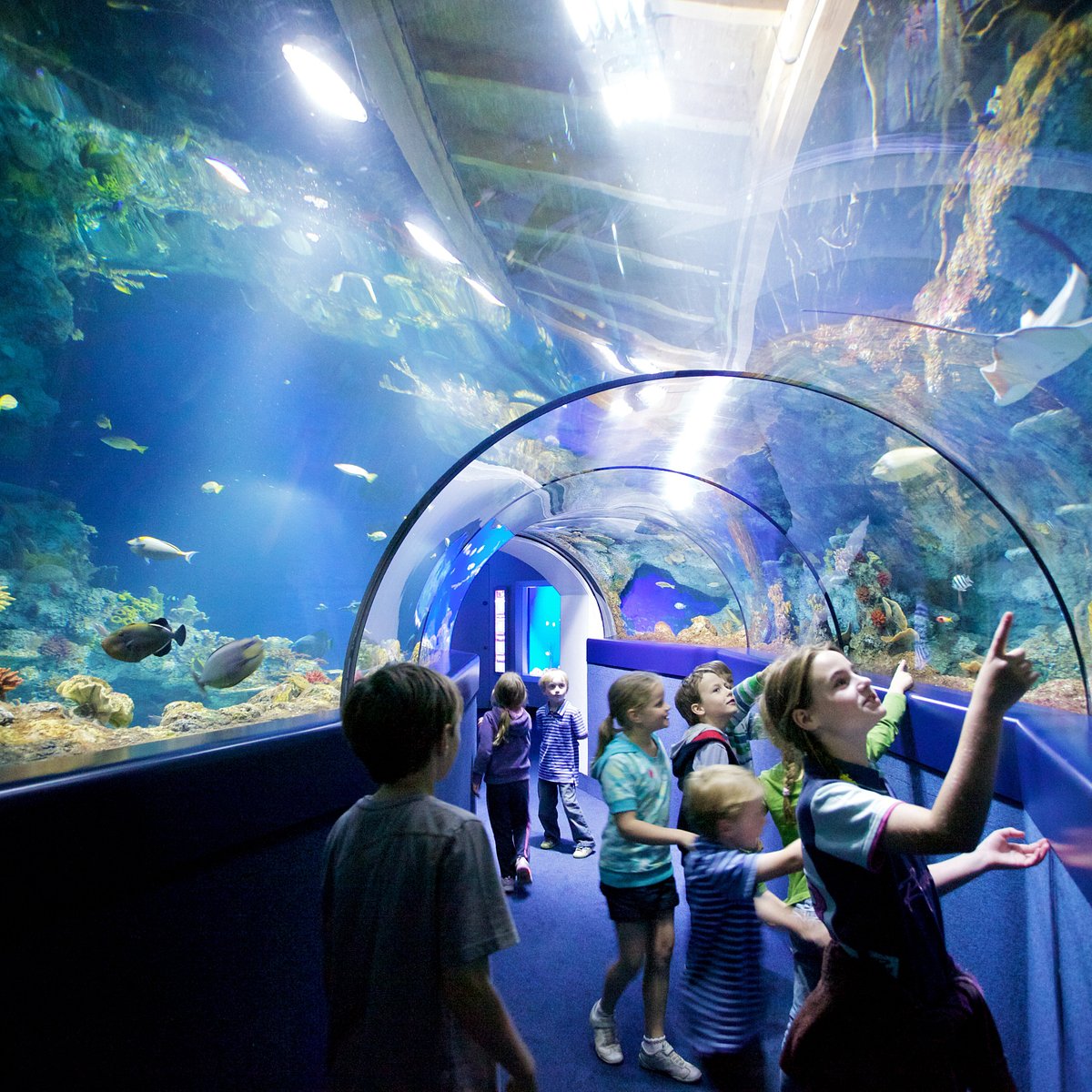 20-enigmatic-facts-about-bristol-aquarium