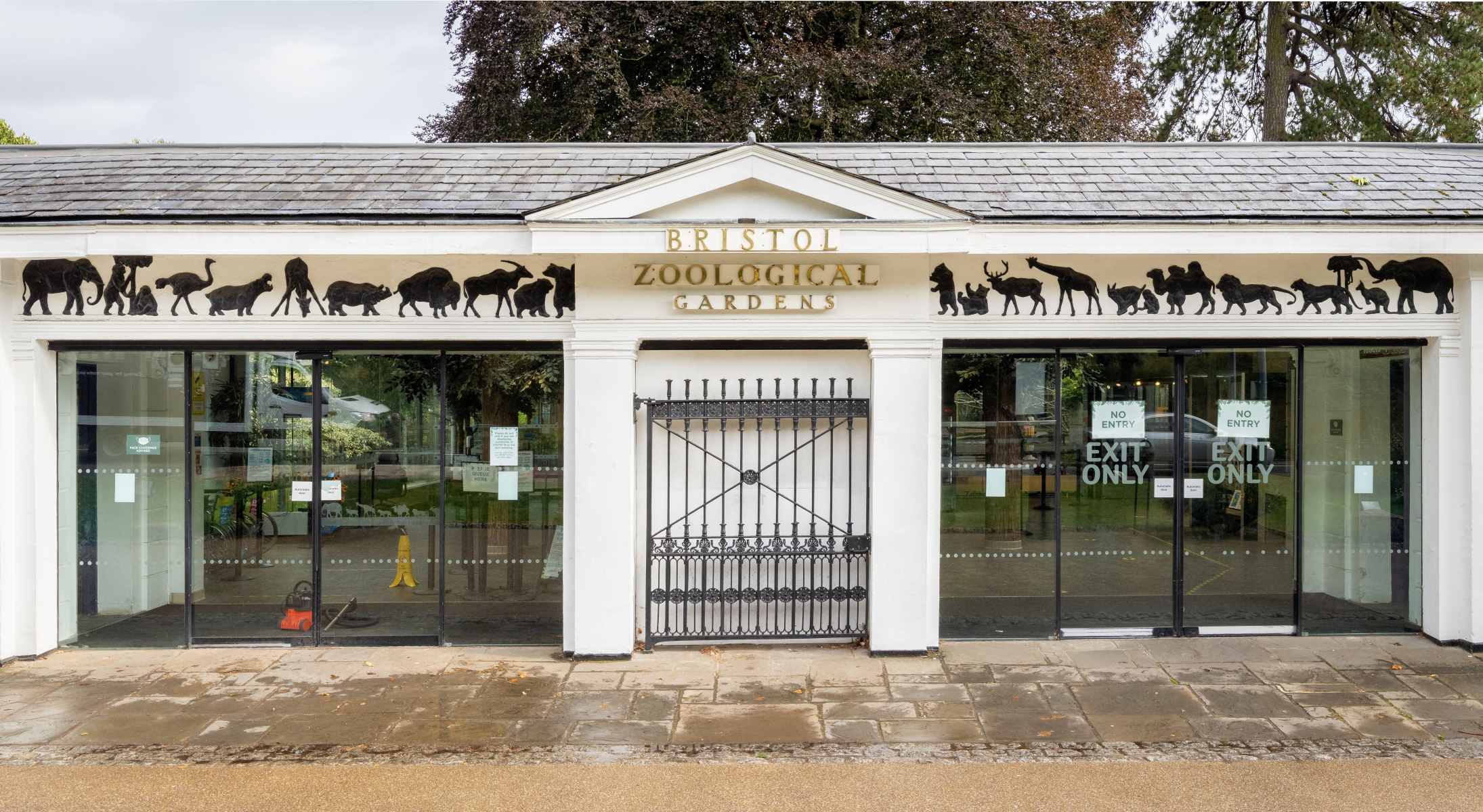 20-enigmatic-facts-about-bristol-zoo