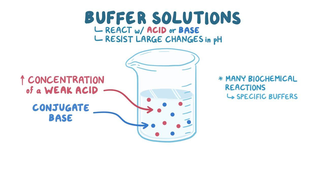 20 Enigmatic Facts About Buffer Solution 