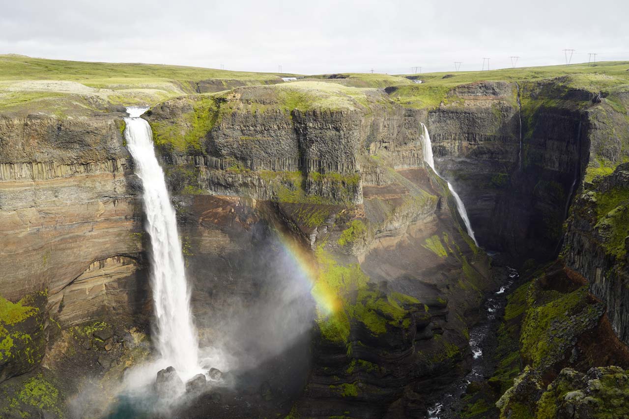 20-enigmatic-facts-about-haifoss