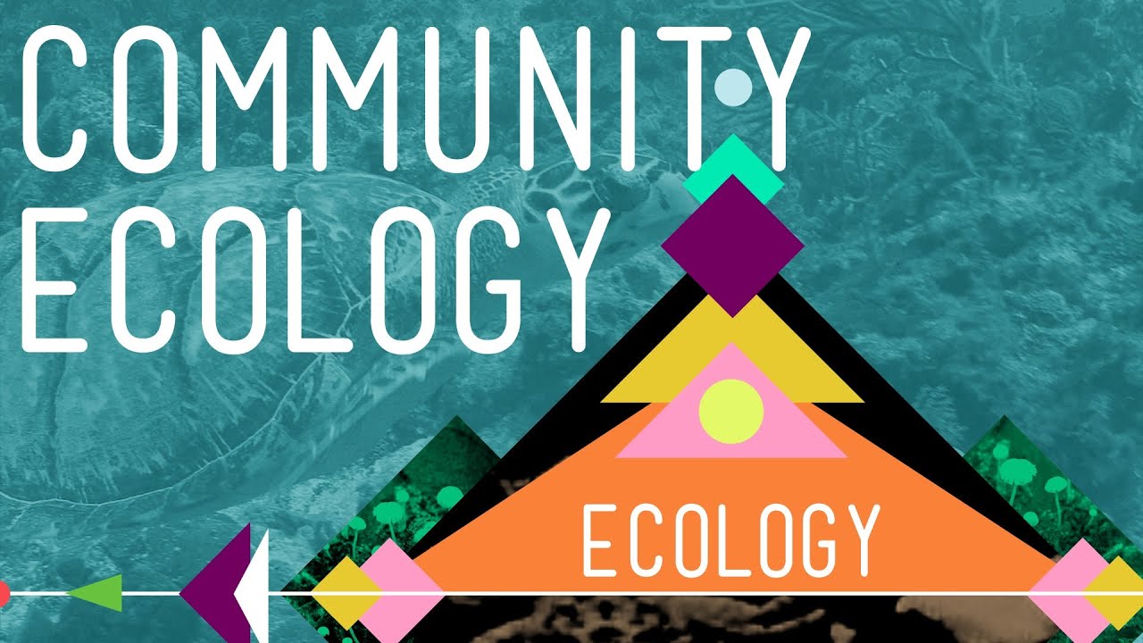 20-extraordinary-facts-about-community-ecology