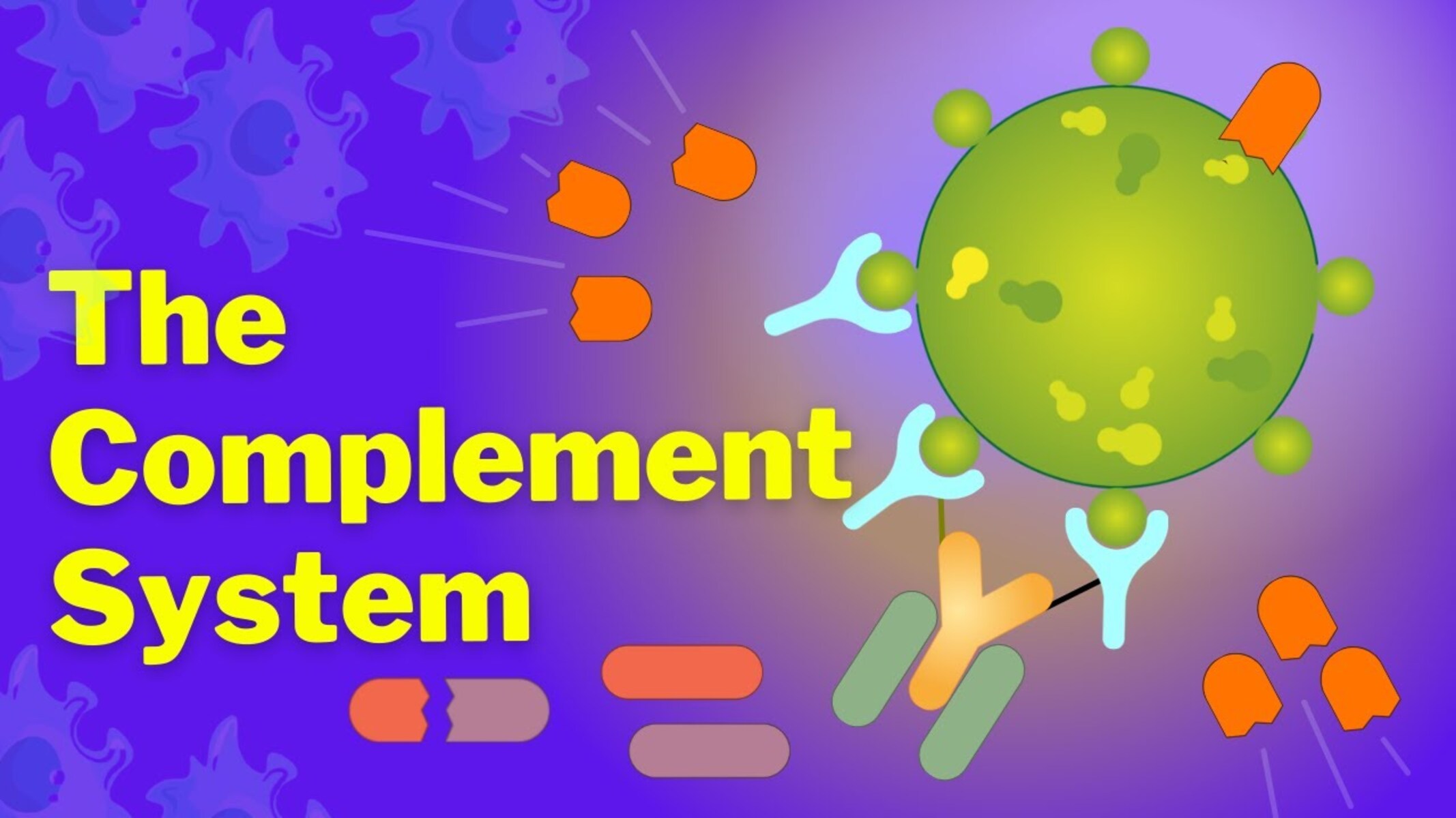 20 Extraordinary Facts About Complement System - Facts.net