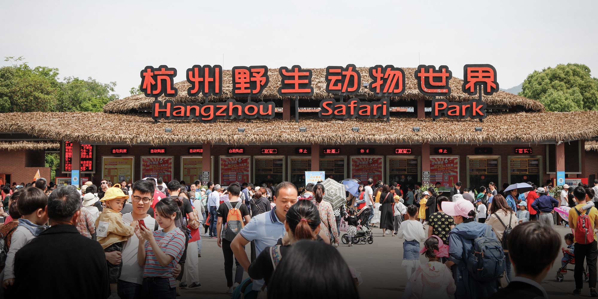 20-extraordinary-facts-about-hangzhou-safari-park