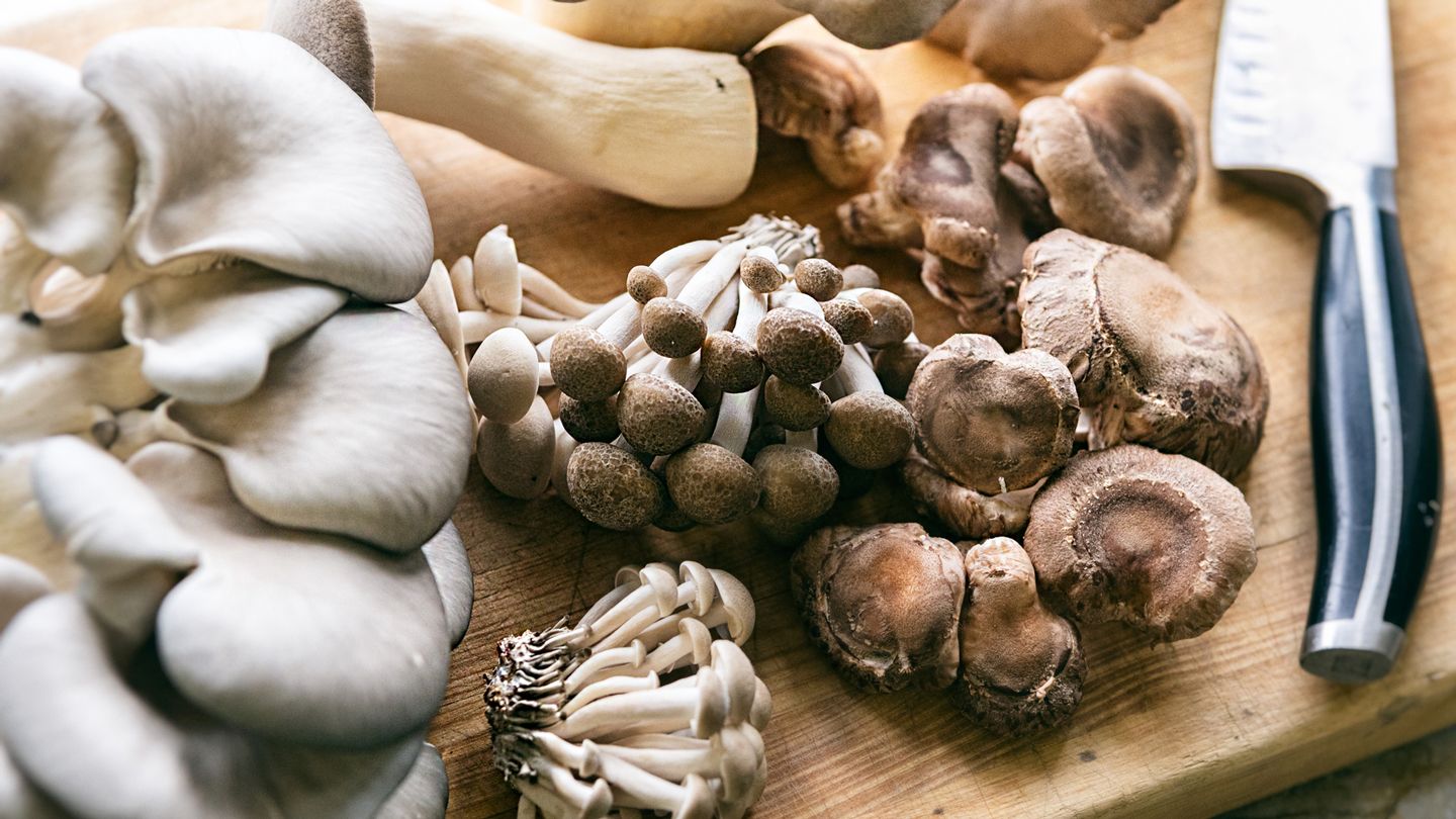 20-facts-about-mushrooms