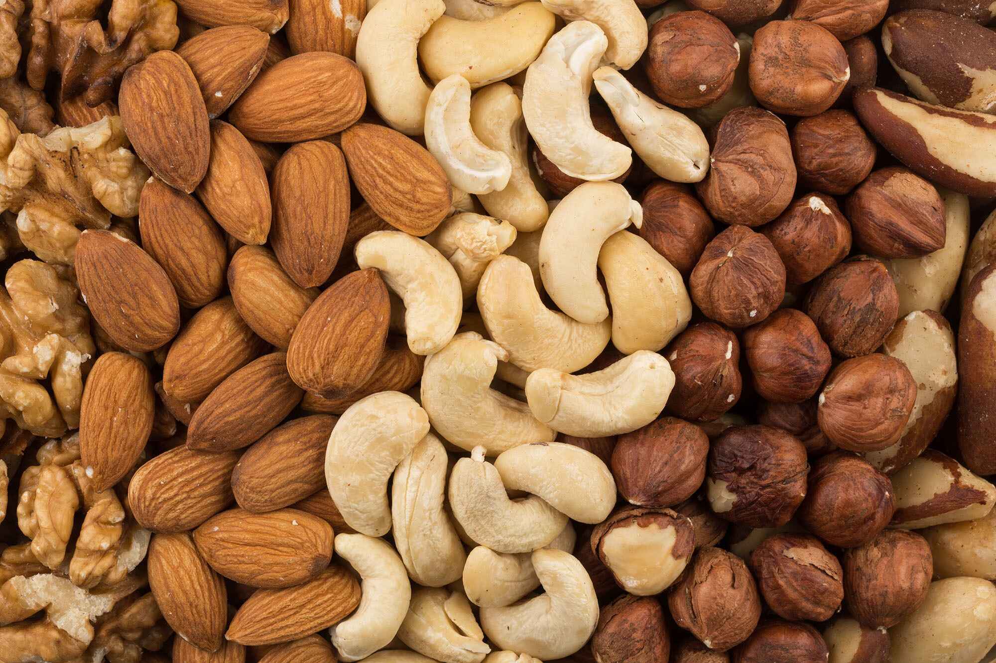 20-facts-about-nuts