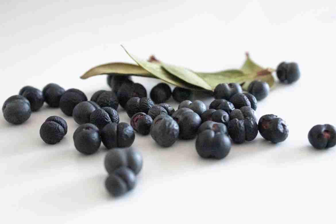 20-facts-about-pepperberry